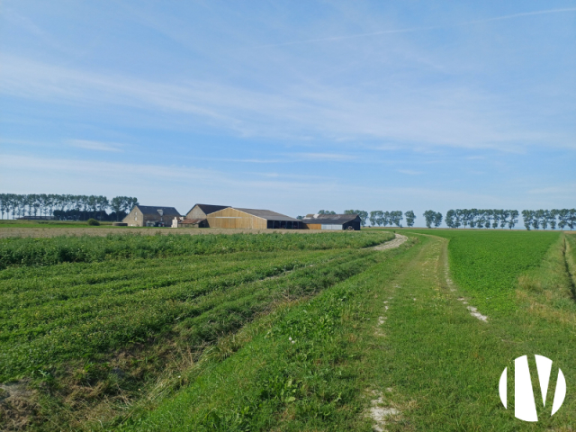 10451 Biologische groenten in volle grond