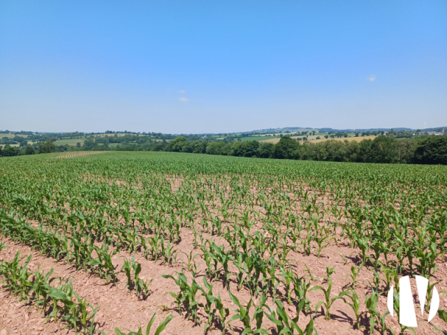 10478 Melk en akkerbouw in het westen van Calvados