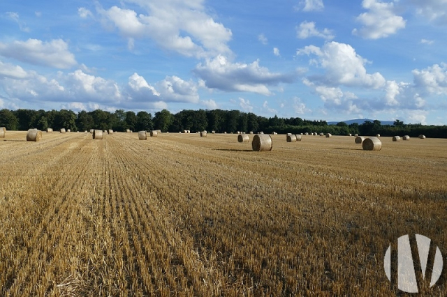 10421 Schitterend gemengd bedrijf met gîtes