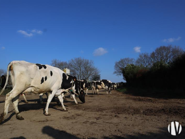 10449  Gerobotiseerd melkveebedrijf op 140 ha