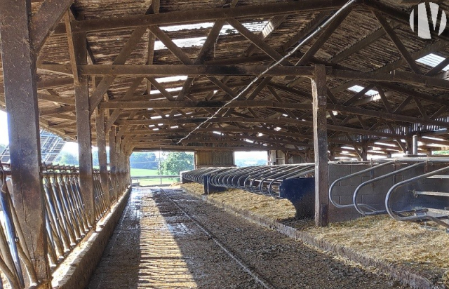 10045 Melkveebedrijf op 78 hectare, goed rendabel