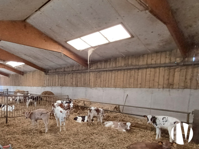 10512  Melk en vleesproductie op 250 hectare